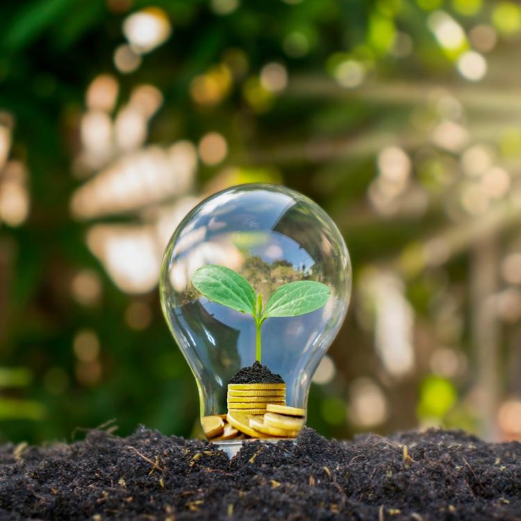 Loopipak : Innover pour un Impact Positif Loopipak révolutionne les emballages avec des solutions durables et innovantes, préservant ainsi notre planète pour les générations futures.